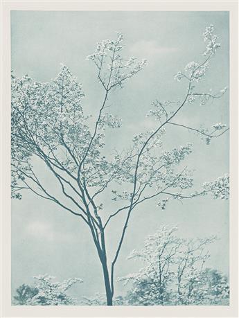 ADOLF FASSBENDER. Pictorial Artistry: The Dramatization of the Beautiful in Photography.
